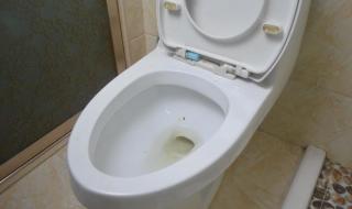 洁厕灵刷厕所的方法 洁厕灵怎么使用