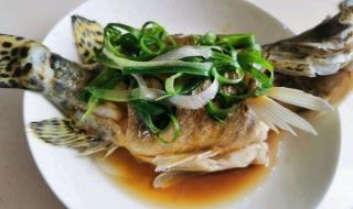 桂鱼最好吃的十种吃法 桂鱼怎么做好吃